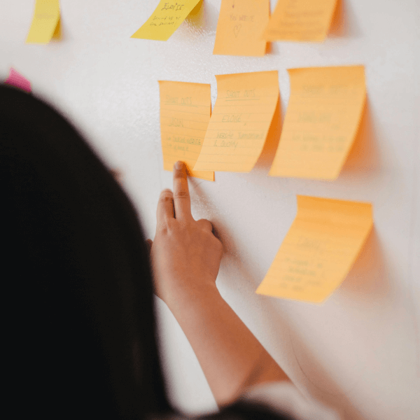 Portofolio Neve Marketing Agency 14